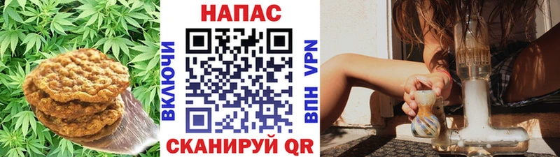 Купить где  Камызяк  Печенье с ТГК марихуана 