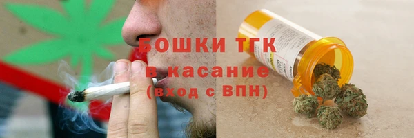 индика Красноперекопск