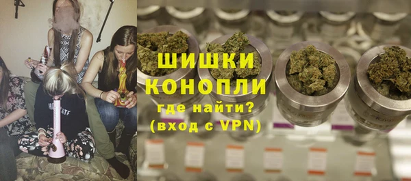 индика Красноперекопск