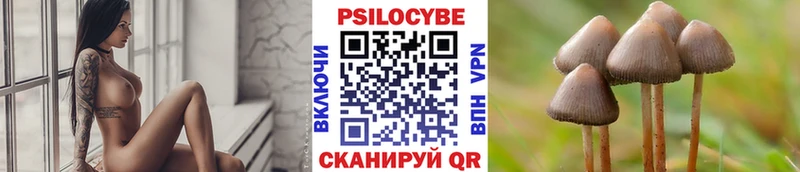 Галлюциногенные грибы прущие грибы  Купить закладки  Камызяк 